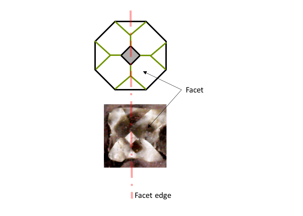 LatticeScriber&8482;